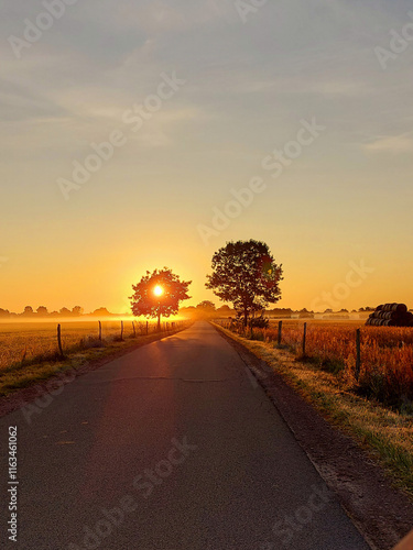 Wallpaper Mural Morgensonne Torontodigital.ca