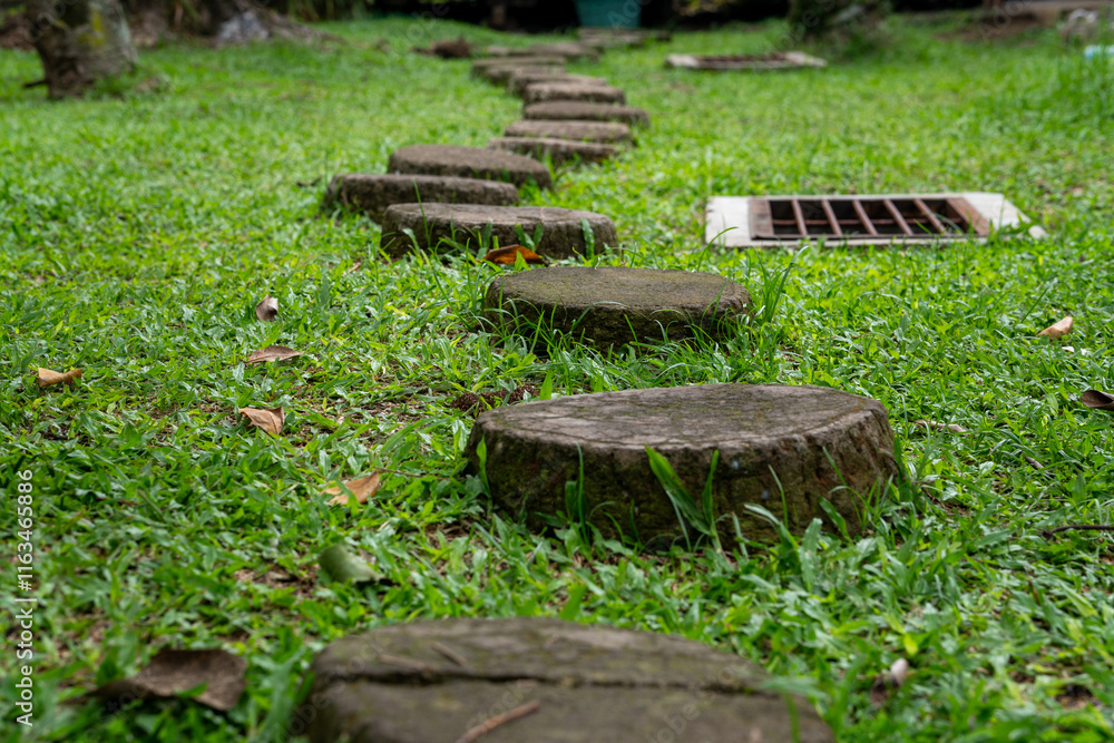A winding path of circular stepping stones leads through a vibrant green lawn, creating a tranquil and inviting scene. A winding path of circular stepping stones leads through a vibrant green lawn, creating a tranquil and inviting scene.