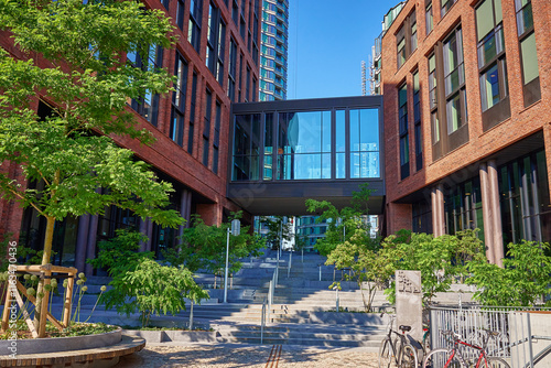 Photography Lush green tree next to modern red brick building