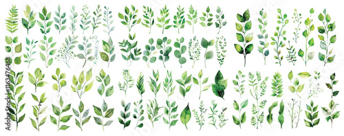 Set of green watercolor leaves on isolated background	