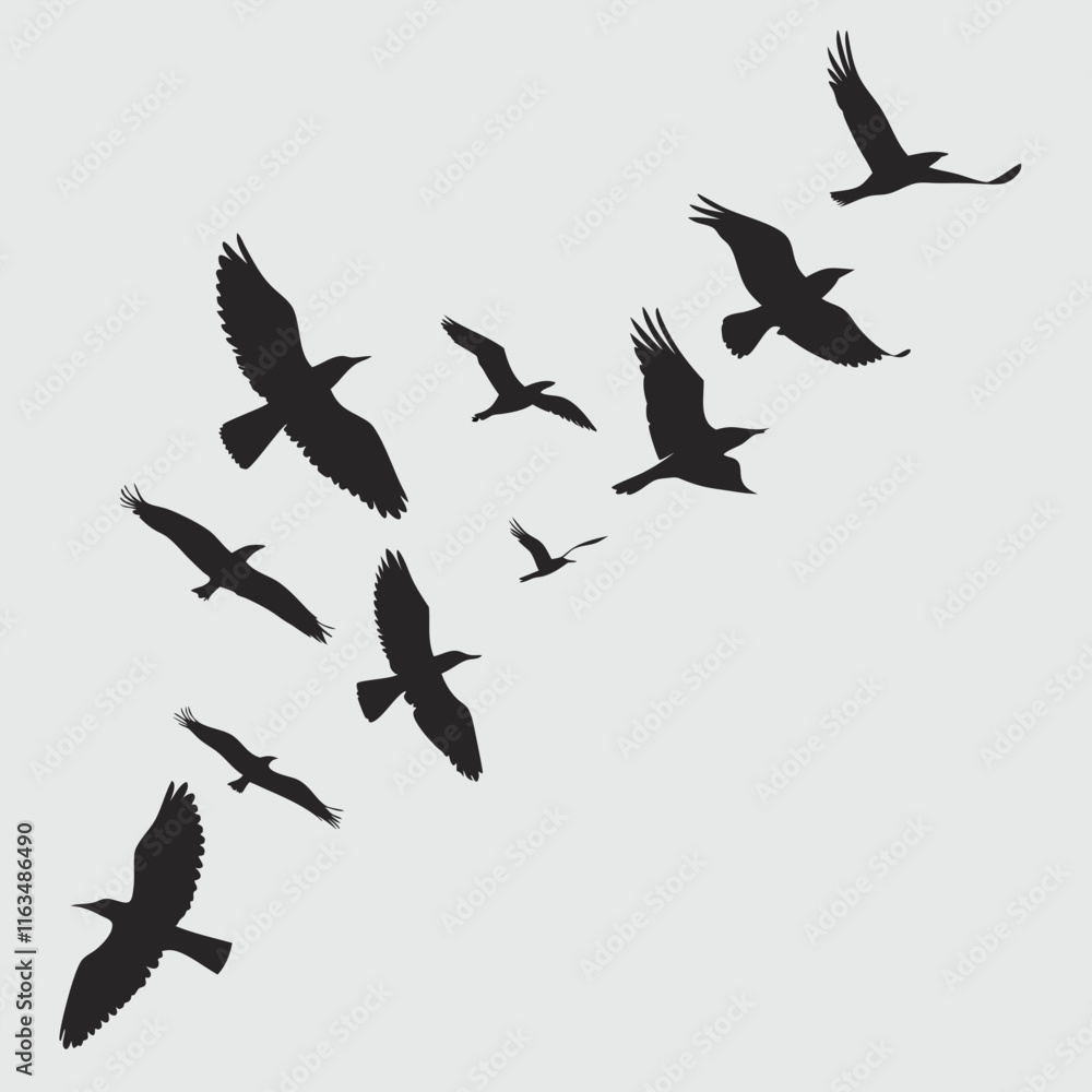 Fototapeta premium Birds flying silhouette vector design art and illustration