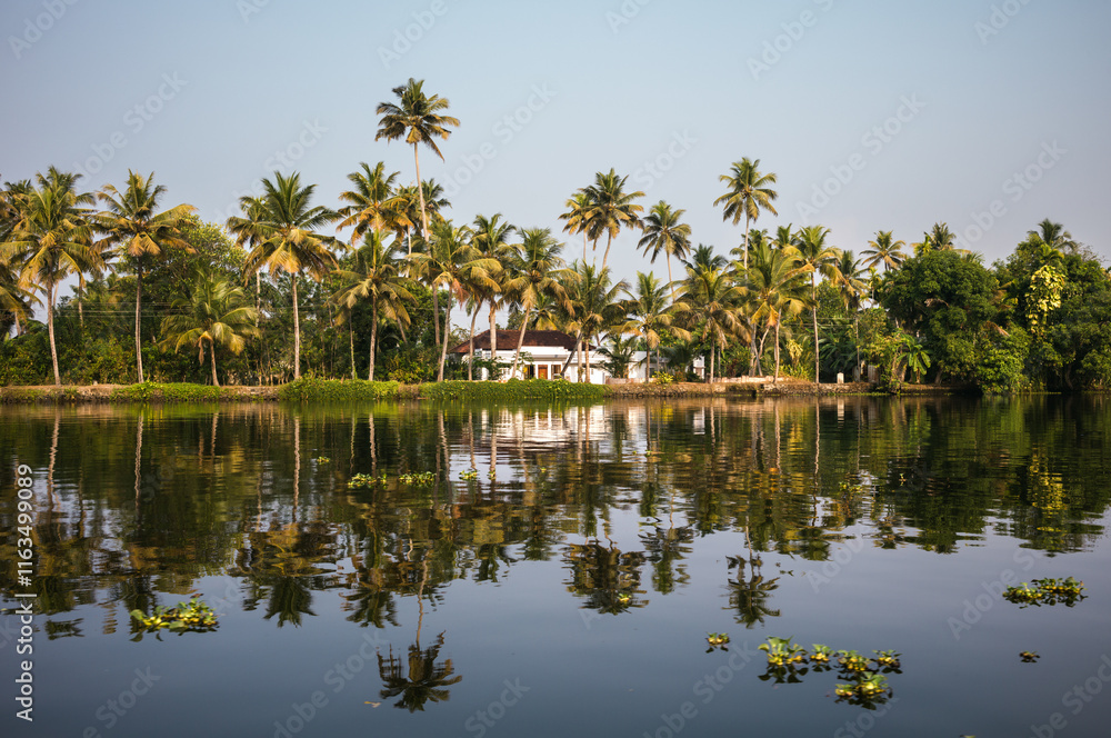 Palm trees and canal in the backwaters of Alappuzha, Kerala, India Palm trees and canal in the backwaters of Alappuzha, Kerala, India
