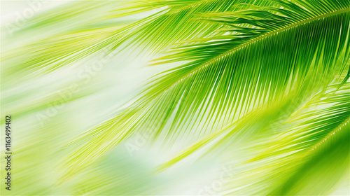 A vivid close-up of green tropical palm leaves with sunlight filtering through. Ideal for eco, summer, or nature themes with ample copy space. photo