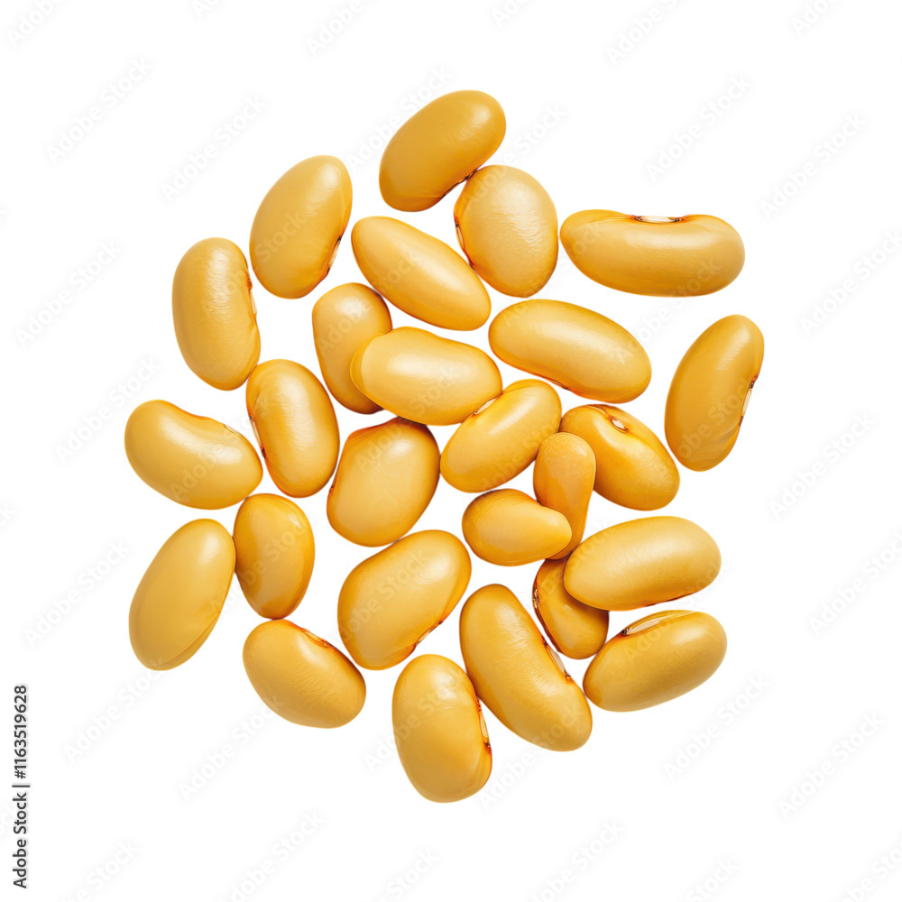 Fototapeta premium High-Quality Yellow Beans for Culinary Use on a Clean White Background Perfect for Recipes and Food Blogs Transparent background