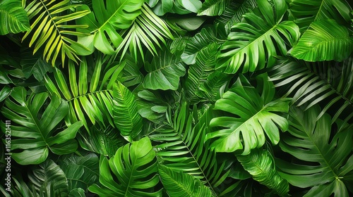 Wallpaper Mural Tropical Leaf Pattern with Lush Green Textures Torontodigital.ca