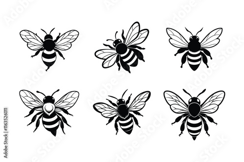 Schilderij op canvas Bumblebee (Bombus) silhouette design, labeled linocut vector illustration