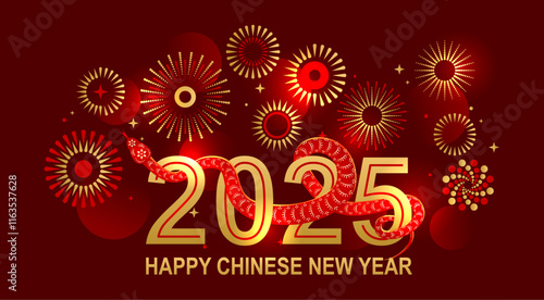 2025 chinese year3 photo