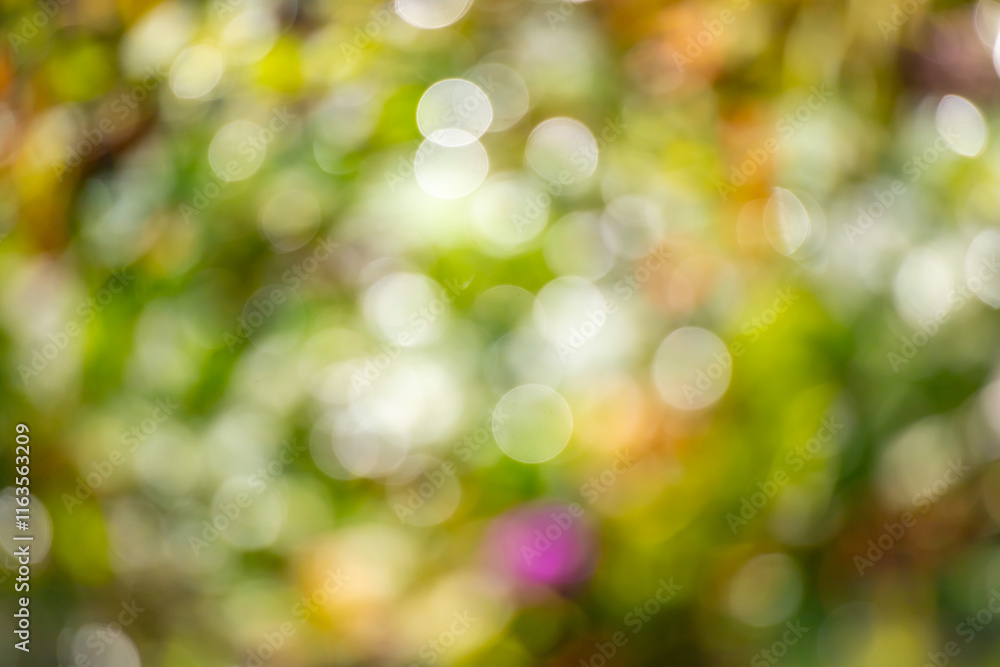 A blurry image of a green background with pink flowers A blurry image of a green background with pink flowers