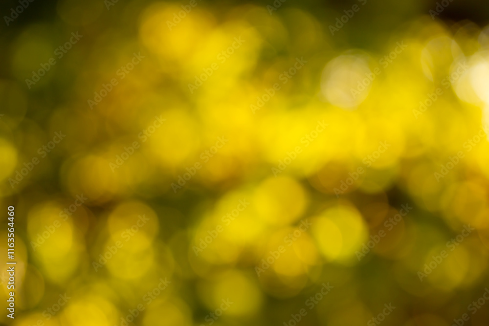 Blurred bokeh background of autumn leaves. Blurred bokeh background of autumn leaves.