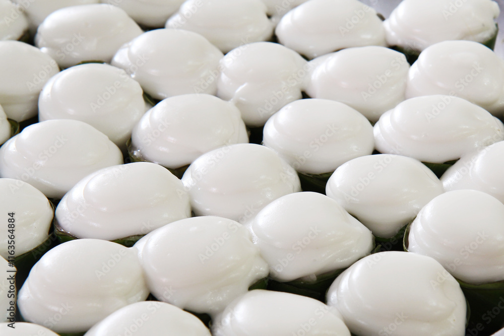 Thai pudding with coconut topping, Arrange on a tray, close-up, selective focus Thai pudding with coconut topping, Arrange on a tray, close-up, selective focus