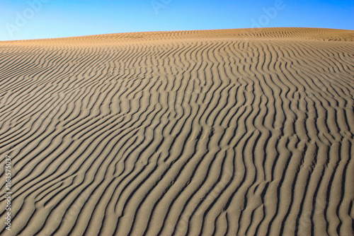 Sand dune with rippled wavy pattern caused by the movement of wind. At South Head, Kaipara District, Auckland Region, New Zealand. photo