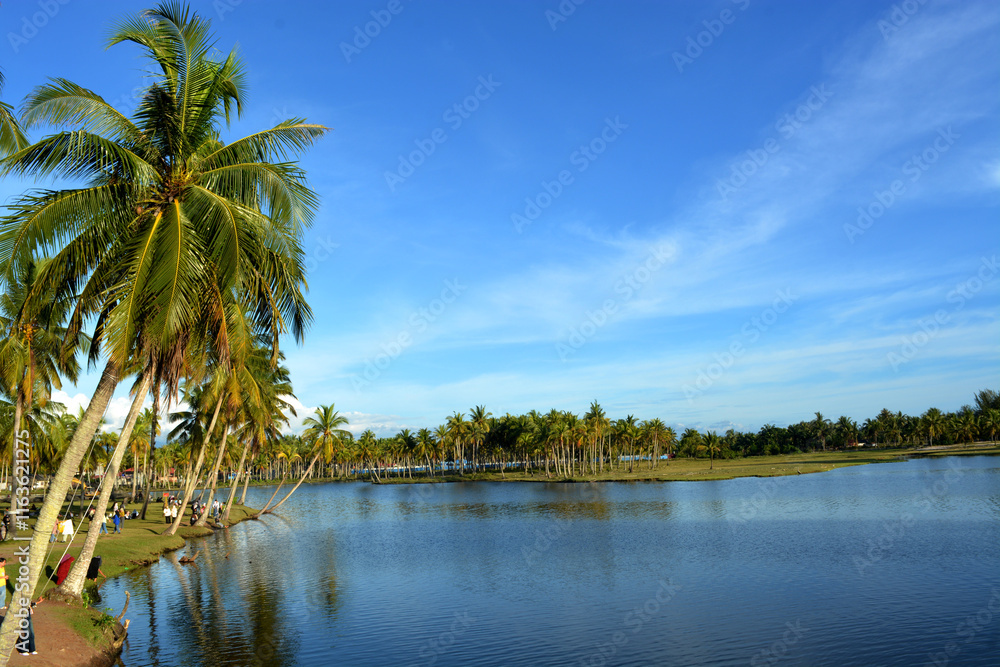 Muaro coconut plantation tourist attraction, Tiku, West Sumatra, Indonesia. Muaro coconut plantation tourist attraction, Tiku, West Sumatra, Indonesia.