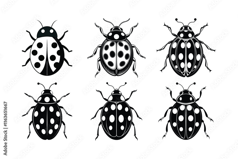 Fototapeta premium Ladybug (Coccinellidae) silhouette design, labeled linocut vector illustration.