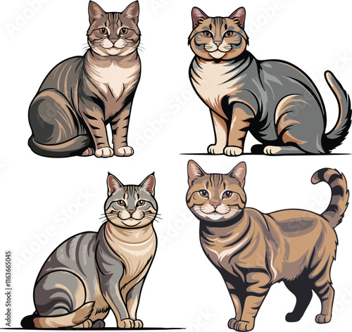 Set of american shorthair cat vector illustration white background