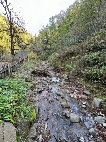 Stream in the mountains, Georgia photo