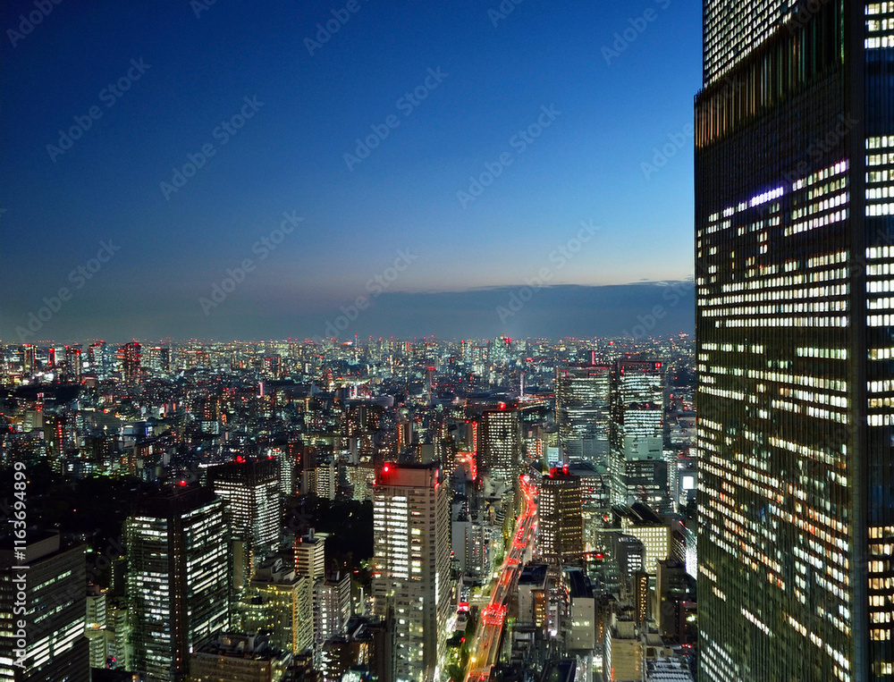 Obraz premium 都会の夜景