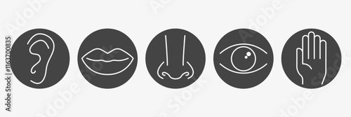 Set of five human sense in black circle. Vector illustration