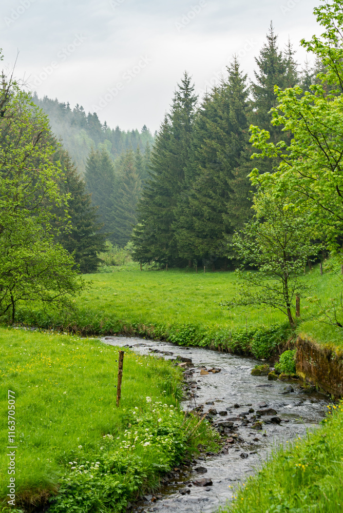 Naturschönheit im Erzgebirge: Eine magische Stimmung Naturschönheit im Erzgebirge: Eine magische Stimmung