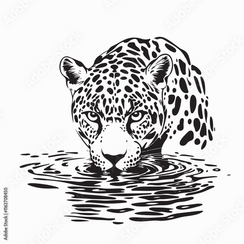 Jaguar Drinking from a Lake While Sharply Watching Its Surroundings Vector Illustration