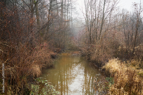 rzeka,mgła  photo