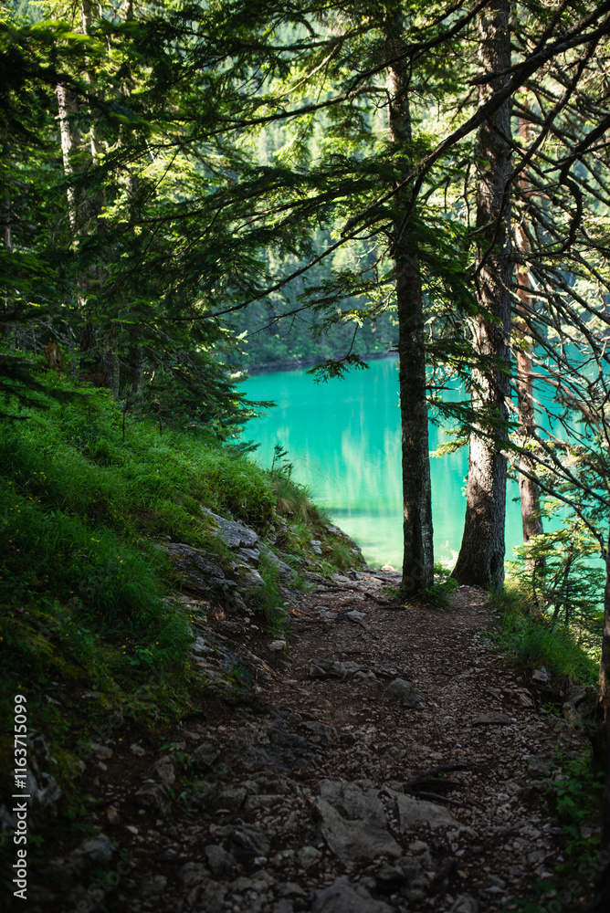 Fototapeta premium Black lake montenegro landscape. Durmitor national park, autumn summer, calm lake forest mountains