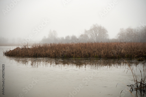 zbiornik wodny,mgła photo