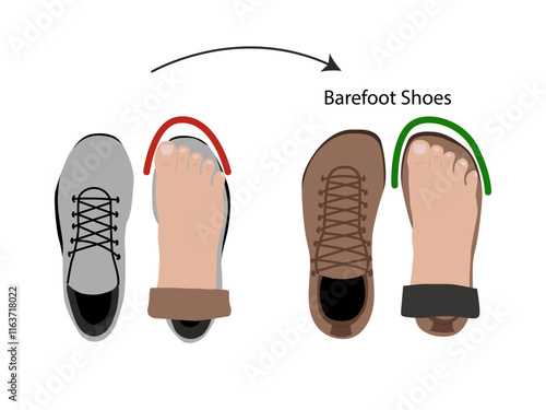 Barefoot shoes. Compare regular vs barefoot shoes. This shoe has a flexible upper and outsole that allows the feet to move and flex naturally, and effectively engage every bone