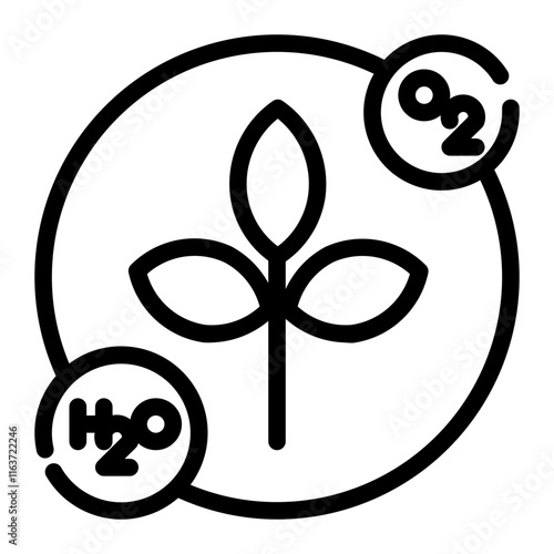 the result of photosynthesis cutline icon