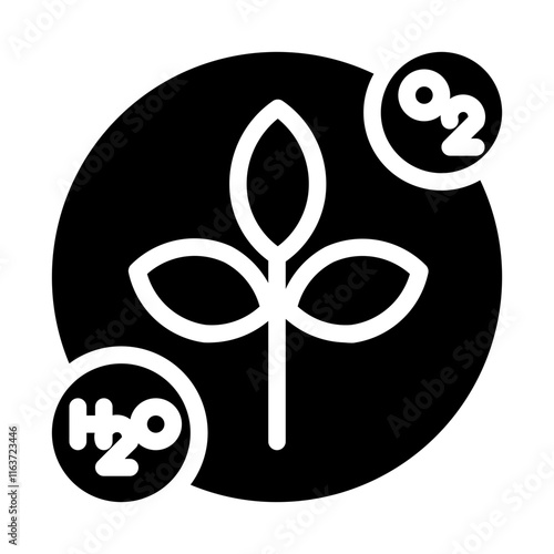 the result of photosynthesis solid icon