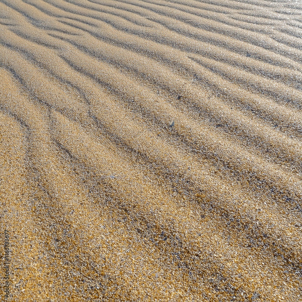 Continuous sun-lit coastal sand grain imagery Continuous sun-lit coastal sand grain imagery