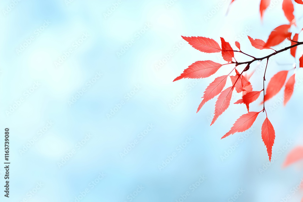 Red autumn leaves on a branch against a soft blue sky.