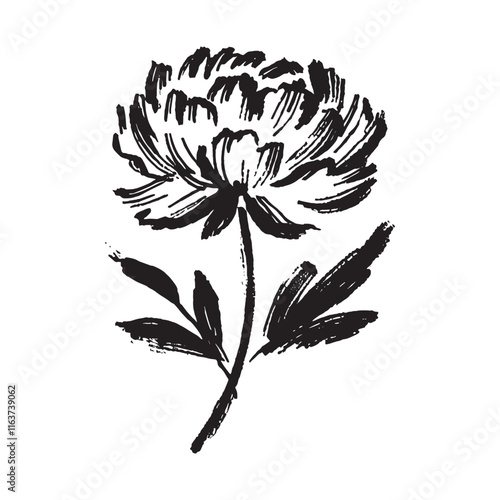 Minimalist hand drawn peony in bold black brush strokes on white