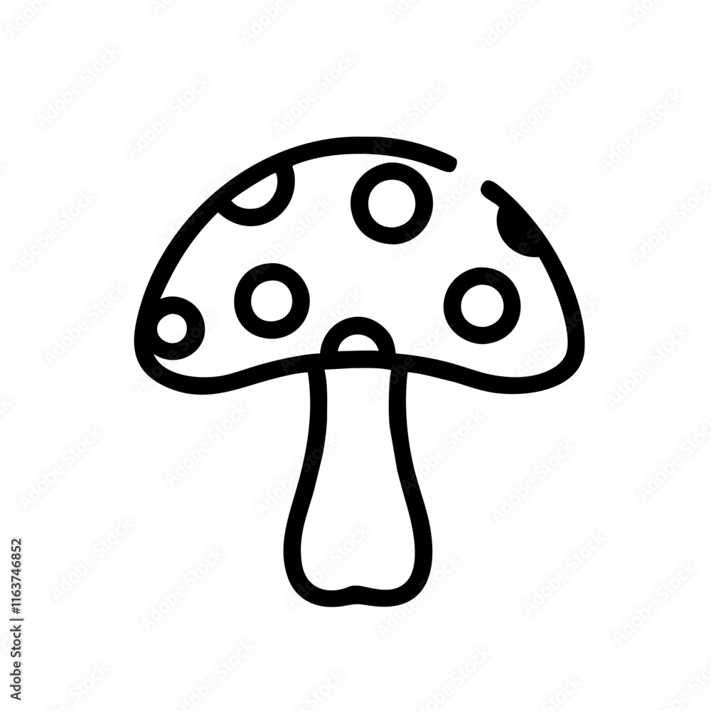 fly agaric mushroom fly agaric mushroom