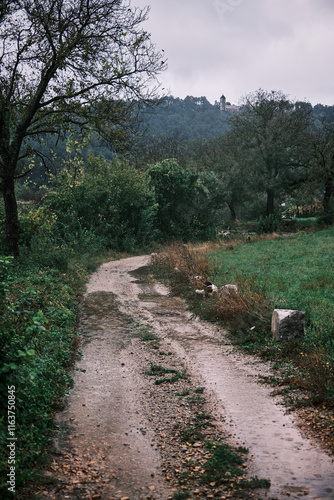 Suggestive gravel road of the karst