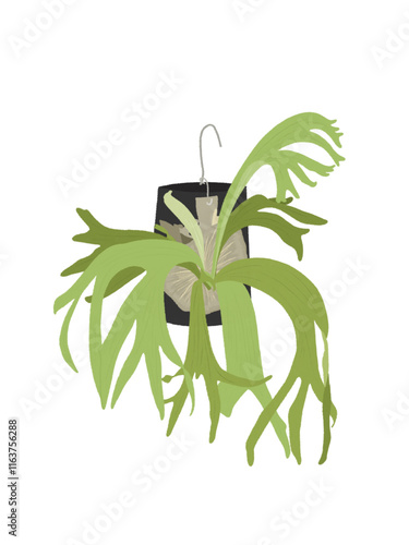 Staghorn Fern Illustration | Wall-Mounted Plant Design