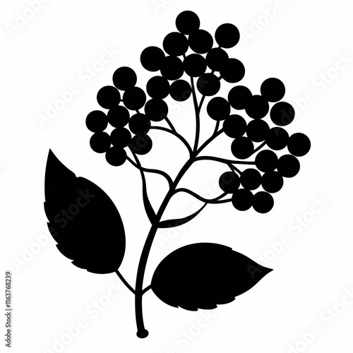 Elderberry Silhouette Vector Art