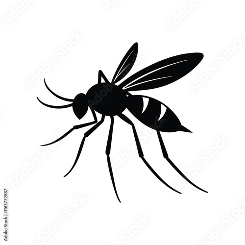 Mosquito (Culicidae) insect silhouette design, labeled linocut vector illustration.