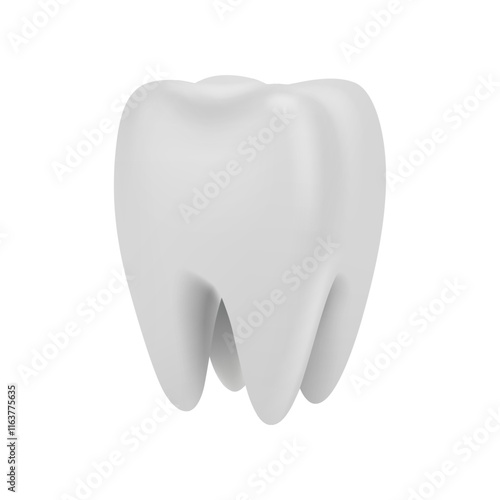 Dental model of premolar or molar tooth with healthy enamel and root, 3d rendering. Vector endodontist health and professional oral hygiene, healthcare and medicine. Dentistry clinic advertisement