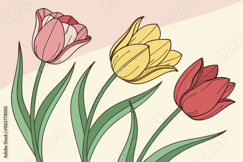 Tulip Trio: Three Tulips in a Row Vector Illustration on White Background