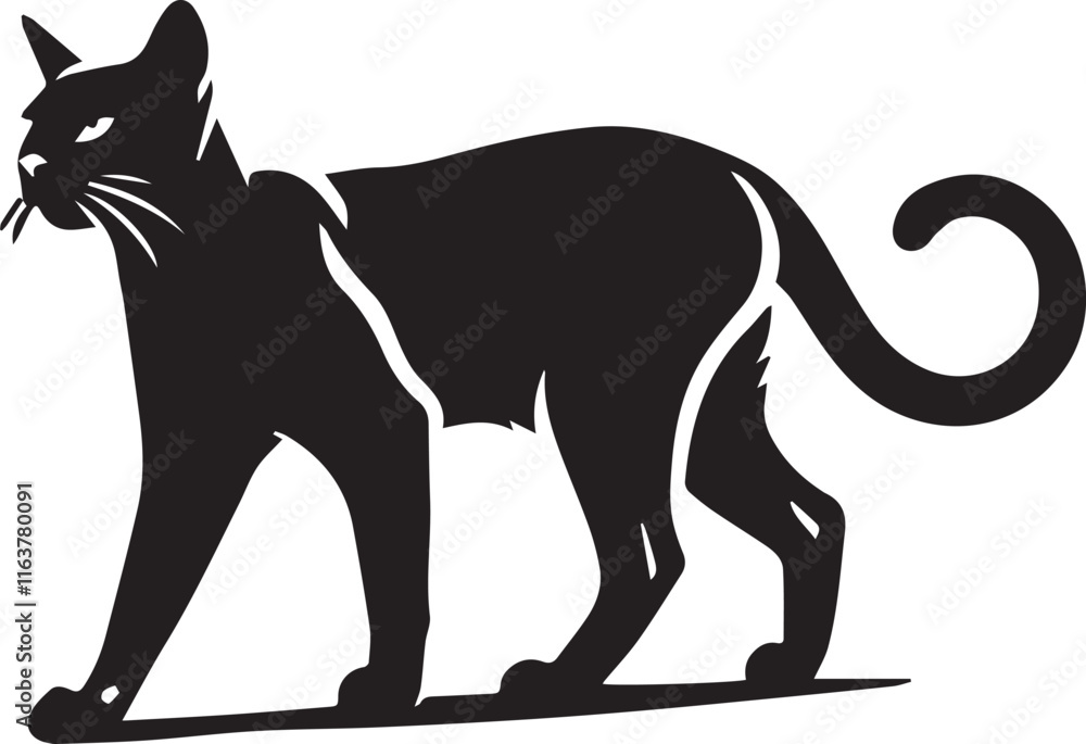 Obraz premium black cat silhouette