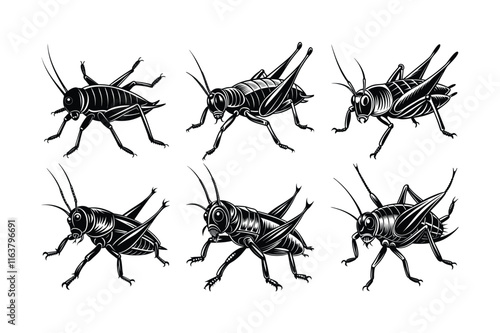 Cricket (Gryllidae) insect silhouette design, labeled linocut vector illustration.