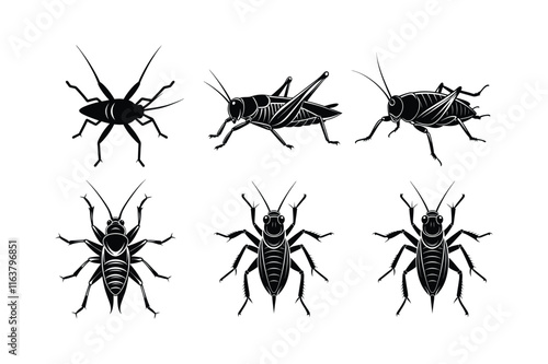 Cricket (Gryllidae) insect silhouette design, labeled linocut vector illustration.