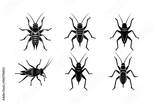 Cricket (Gryllidae) insect silhouette design, labeled linocut vector illustration.