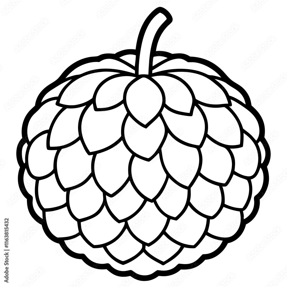 Minimalist Custard Apple Line Art Vector Minimalist Custard Apple Line Art Vector