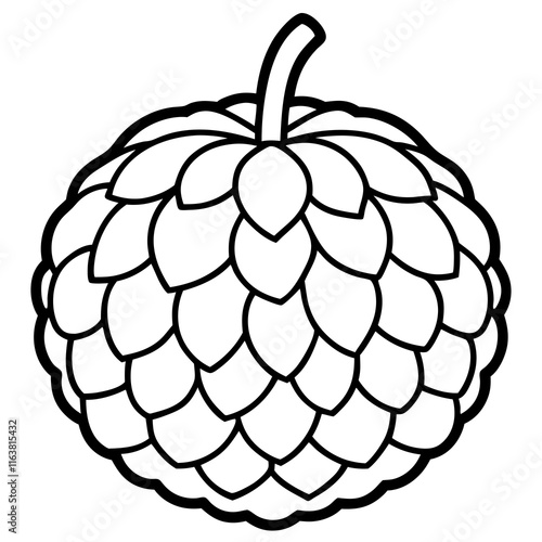 Minimalist Custard Apple Line Art Vector