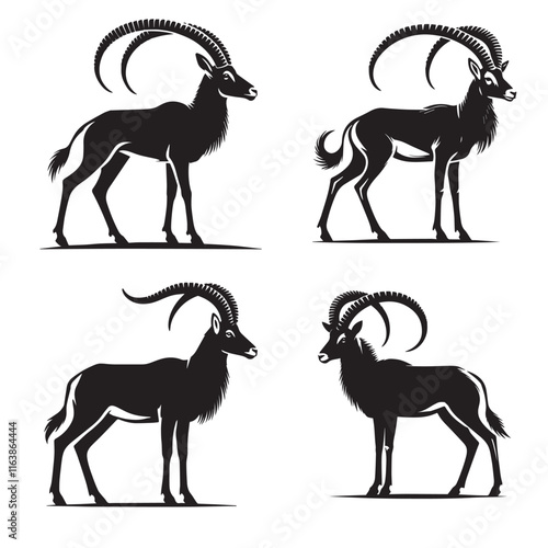 4 Set of Black Silhouettes of Standing Gazelle Capturing Graceful Features in Black and White