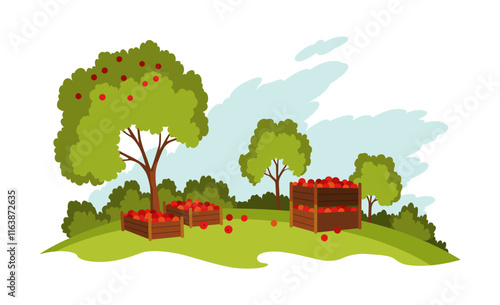 Apple farm landscape. Agriculture field, rural nature scene. Ruralfield panorama growing apples