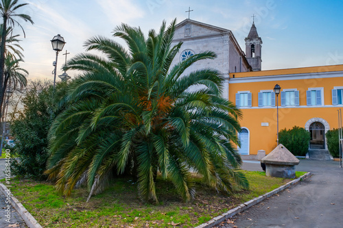 Obraz na płótnie Saint Peter’s Church on the Golden Mountain with a palm tree in front, Rome, Italy w salonie