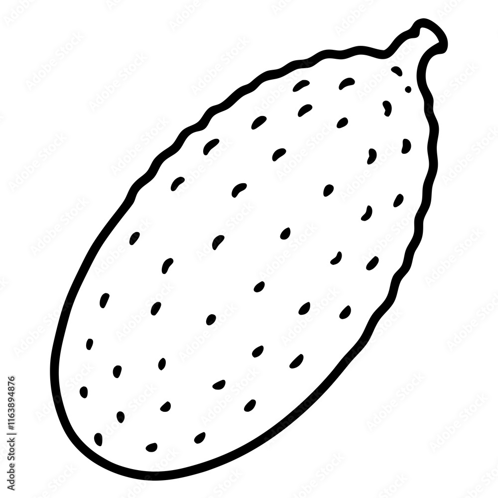 Vector Design of Finger Lime Vector Design of Finger Lime