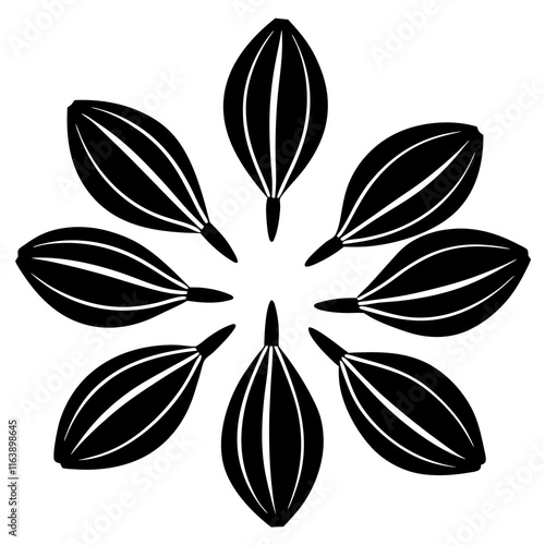 Black Seed Vector Art